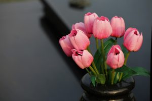 Mme Monique PLOMB † 1936 – 2020